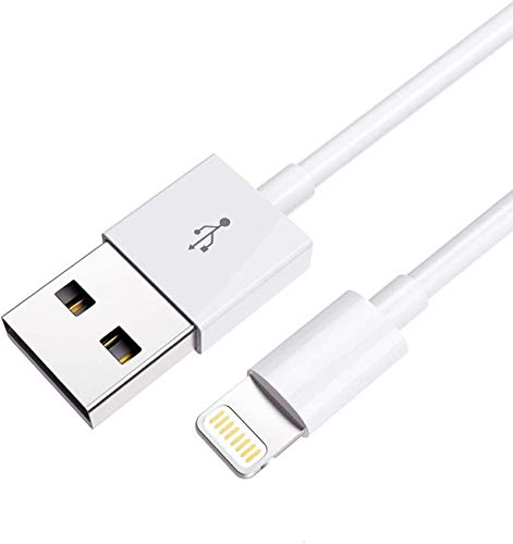 Amazon.co.jp: 1メートル iPhone用 急速充電 ケーブル 純正 PD USB-C